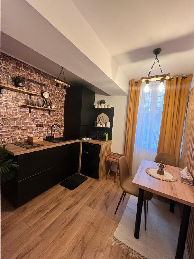 Wood Studio Sinaia Eksteriør bilde