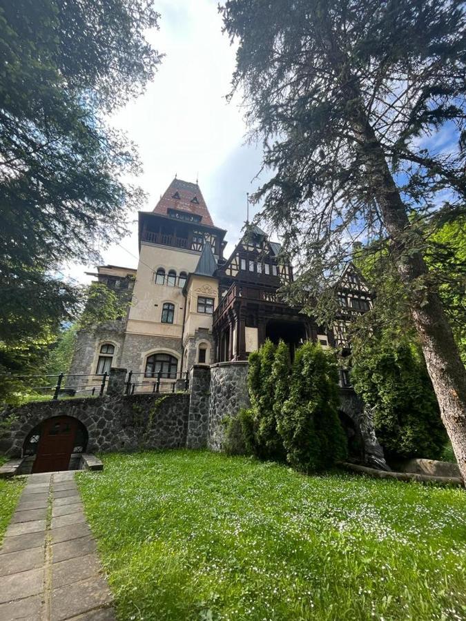 Wood Studio Sinaia Eksteriør bilde
